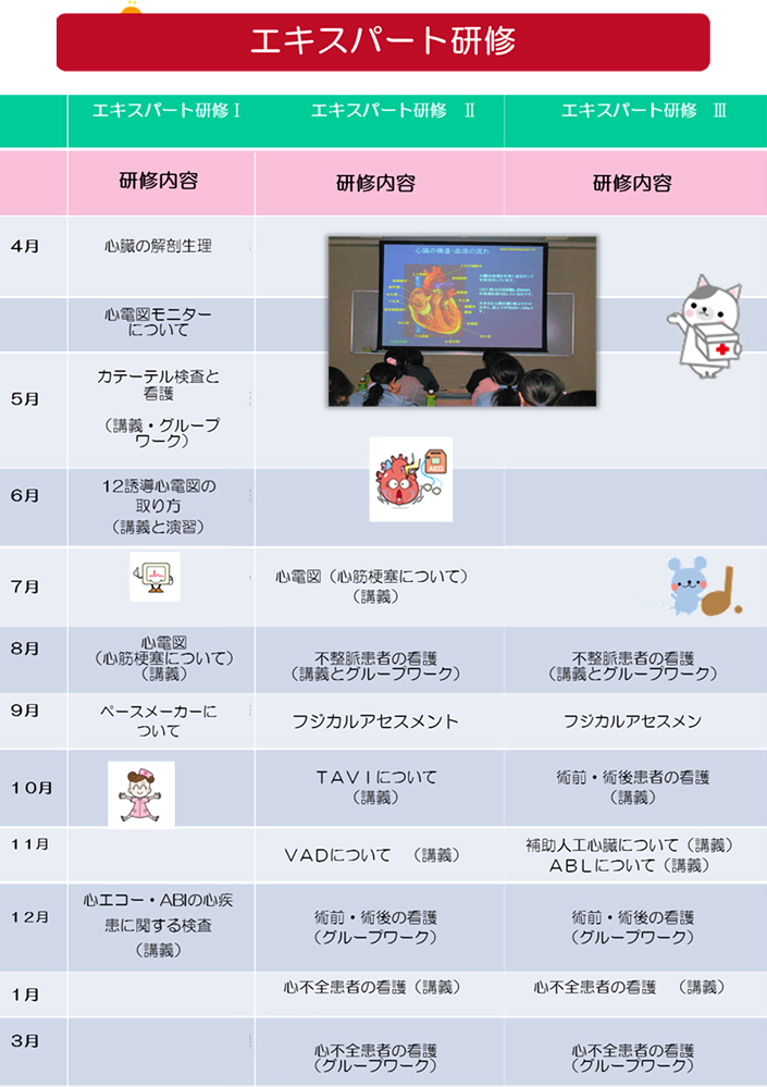エキスパート研修